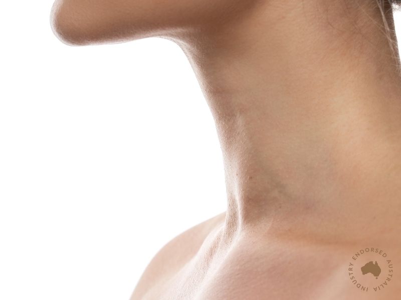 Skin Anatomy and Physiology Course