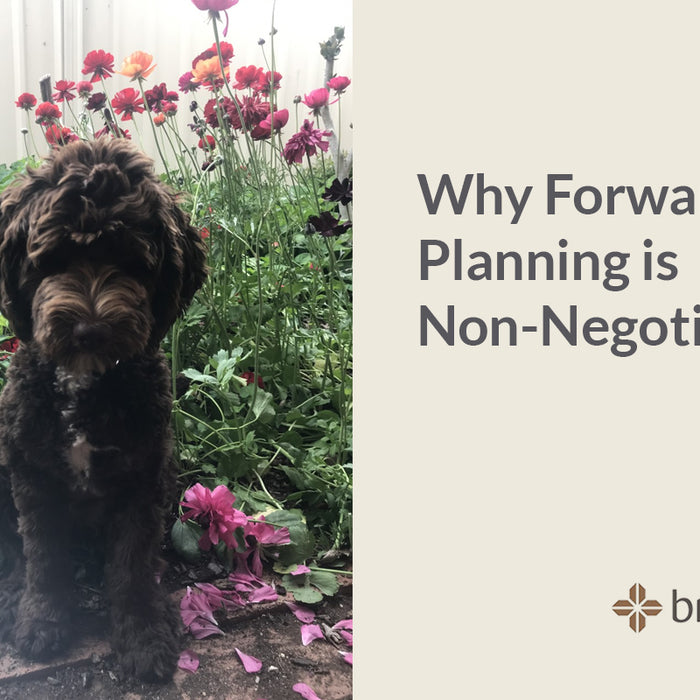 Why Forward Planning is Non-Negotiable