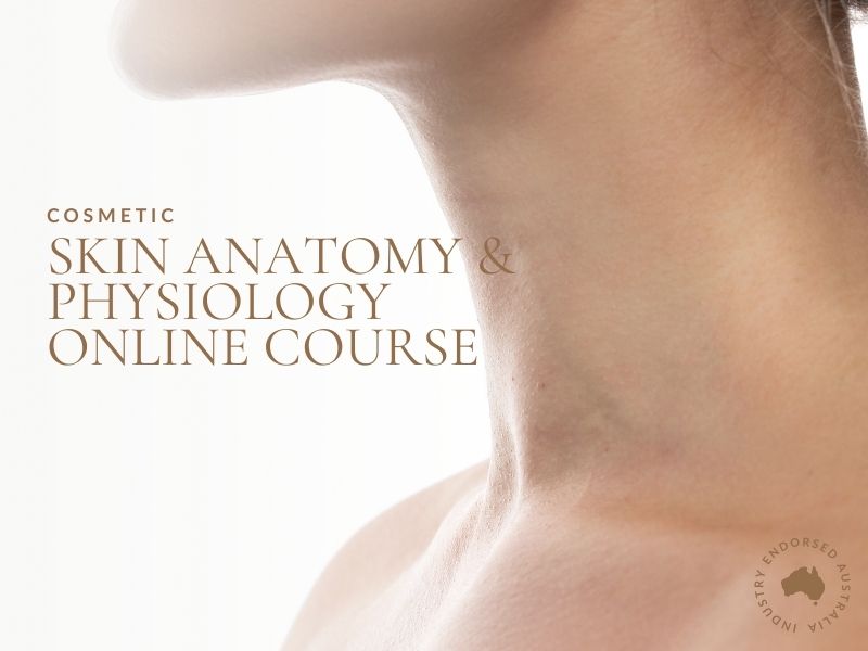 Skin Anatomy and Physiology Course